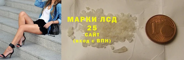 прущий лед Алзамай