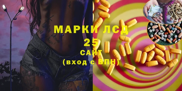 прущий лед Алзамай