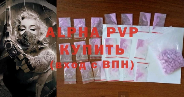 прущий лед Алзамай